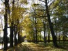 Zag�rzany, ogr�d pa�acowy